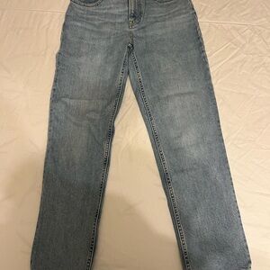 Everlane Original Cheeky Jeans